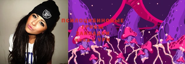 ГАЛЛЮЦИНОГЕННЫЕ ГРИБЫ Горняк