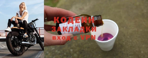 ГАЛЛЮЦИНОГЕННЫЕ ГРИБЫ Горняк