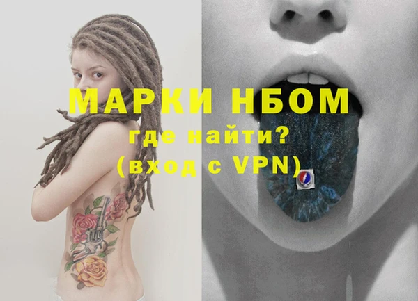 сатива Гусиноозёрск