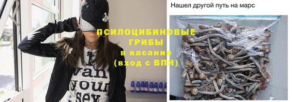 ГАЛЛЮЦИНОГЕННЫЕ ГРИБЫ Горняк
