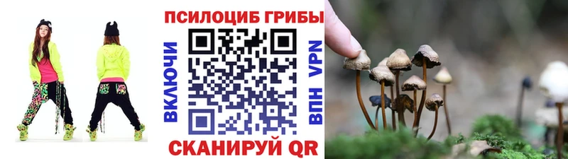 Галлюциногенные грибы прущие грибы  Купить где  Курлово 